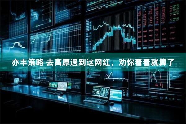 亦丰策略 去高原遇到这网红，劝你看看就算了