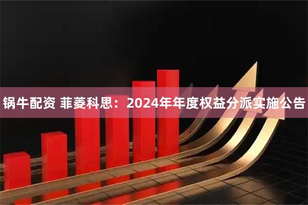 锅牛配资 菲菱科思：2024年年度权益分派实施公告