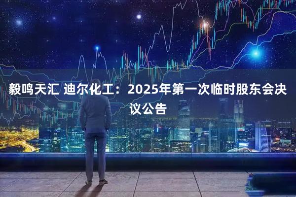 毅鸣天汇 迪尔化工：2025年第一次临时股东会决议公告