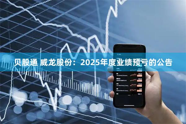 贝股通 威龙股份：2025年度业绩预亏的公告