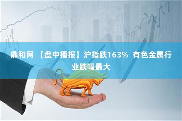 鼎和网 【盘中播报】沪指跌163%  有色金属行业跌幅最大