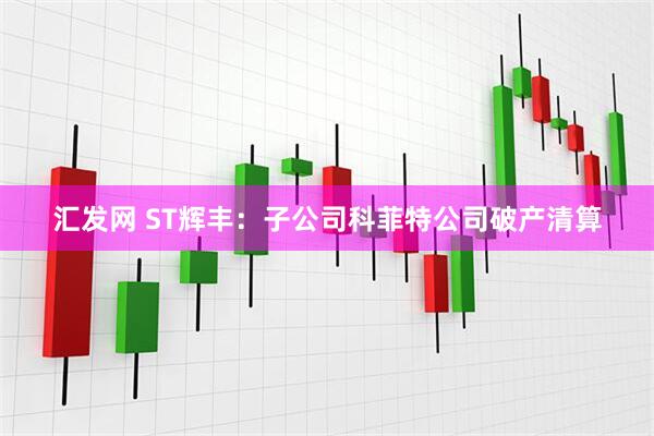 汇发网 ST辉丰：子公司科菲特公司破产清算
